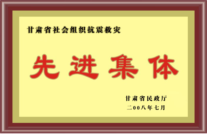 “甘肃省社会组织抗争救灾先进集体”