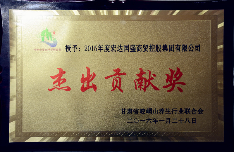 甘肃崆峒山养生行业联合会授予宏达国盛集团2015年度杰出贡献奖